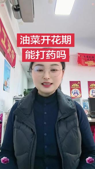 油菜开花期可以打药吗 油菜开花期可以打药吗?#油菜高产种植技术 #油菜管理 #索菲克翡旺