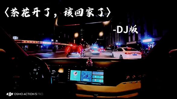 《茶花开了,该回家了》