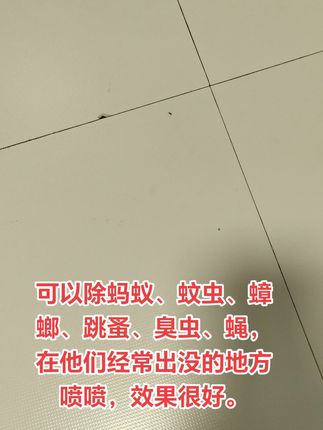 #惊不惊喜意不意外 #意不意外 #与众不同 大家的生活小帮手,让你后顾无忧。
