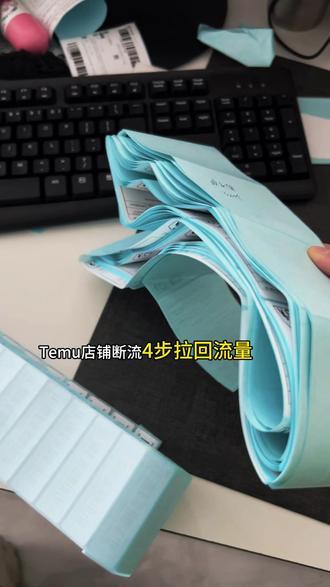 TEMU店铺断流 四步拉回流量#Temu运营 #Temu #新手小白 #temu商家现状 #temu爆款