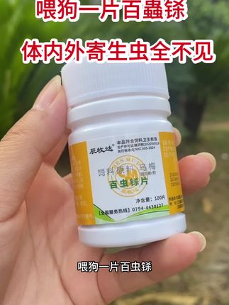 #猫狗驱虫的重要性