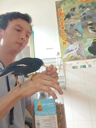 不会信了的,看清楚了,有这个虫干你还怕你的鸟不听话吗?