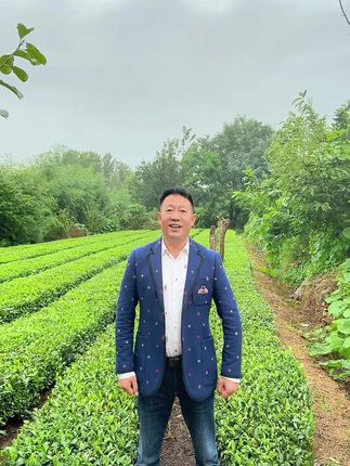 茶叶专场 喜欢喝茶叶朋友们来直播看看吧#助农 #以茶会友真诚相待