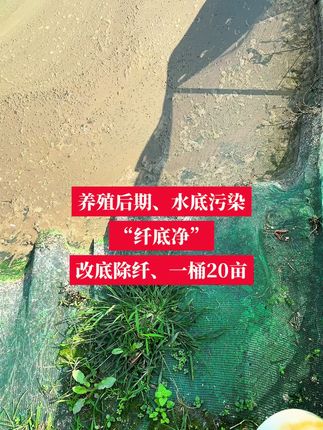 高密度养殖,底部污染易滋生纤毛重,纤底净,改底又除纤。#大闸蟹养殖 #河蟹养殖 #河蟹纤毛虫 #纤底净 #纤毛虫处理方法