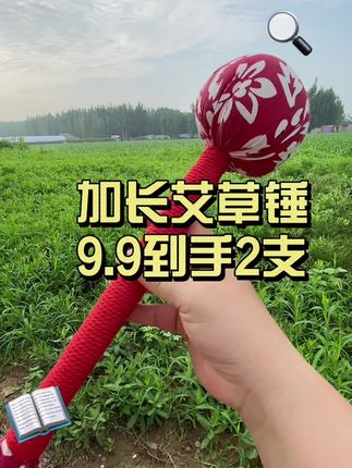 9.9到手2大只艾草锤 太划算了吧