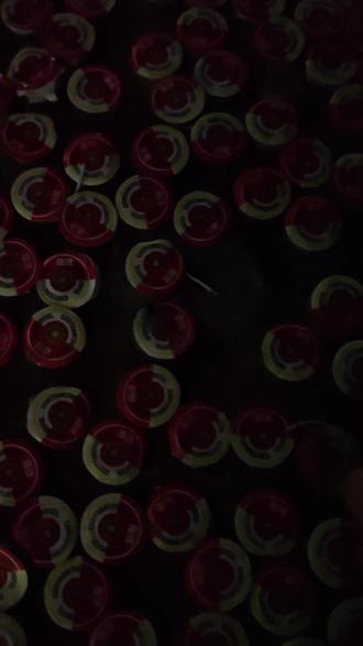 烟花绚烂~快乐永伴#彩菊烟花 #彩菊旋转烟花