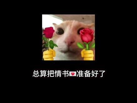 换你也顶不住,,,,#抽象 #搞笑 #蛋仔派对 #头像 #迷惑行为大赏