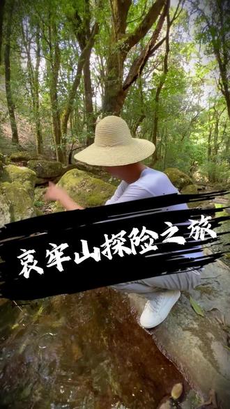 探险哀牢山 哀牢山探险之旅!#葛老板的茶#哀牢山到底有多凶险 #召唤茶友 #哀牢山 #原始森林