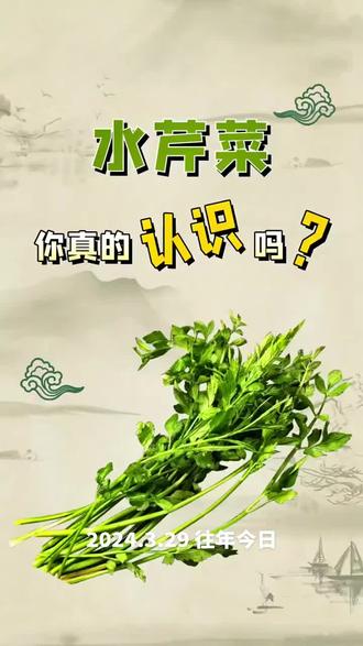 水芹菜,你真的认识吗?
#水芹菜 #食品安全 #科普