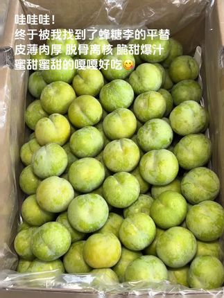 家人们我挖到宝了,找到了蜂糖李平替!果肉饱满,咬下去直接脱骨离核,脆生生的口感里藏着爆汁惊喜。最绝的是那股子蜜甜,像把蜂蜜揉进了果子里,每一口都甜到心尖儿~好吃到停不下来#脱骨李 #新鲜应季水果#脆甜多汁 #口感特别好#优质农产品