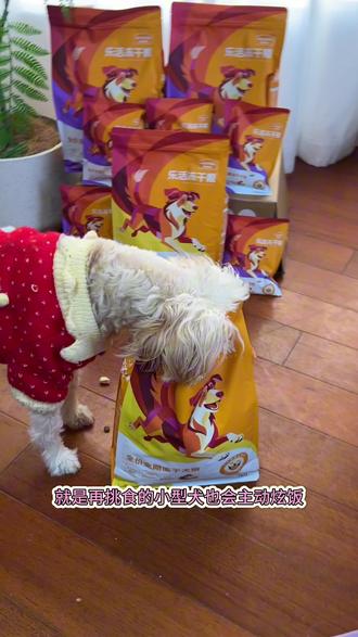 小型犬选粮一定要认准大品牌,麦富迪乐活冻干狗粮就真的很不错,荤素搭配营养均衡,还能呵护肠胃#麦富迪乐活狗粮 #萌宠好物#科学养宠攻略 #狗粮推荐