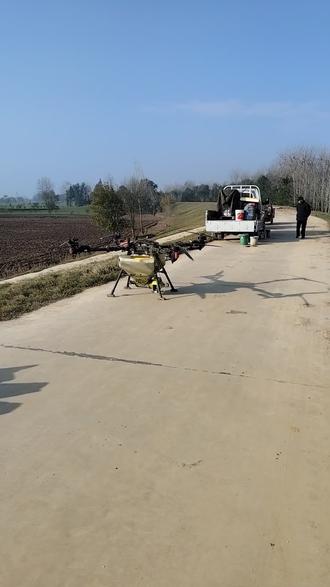 无人机给滩田播撒小麦种和肥料,效果非常非常非常好