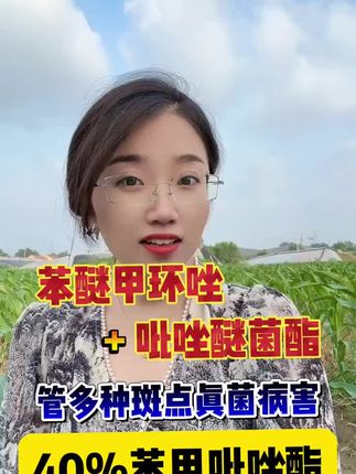 #农资#苯甲吡唑脂 苯醚甲环唑复配吡唑醚菌脂,能管50多种真菌病害,双成份效果好持效期长
