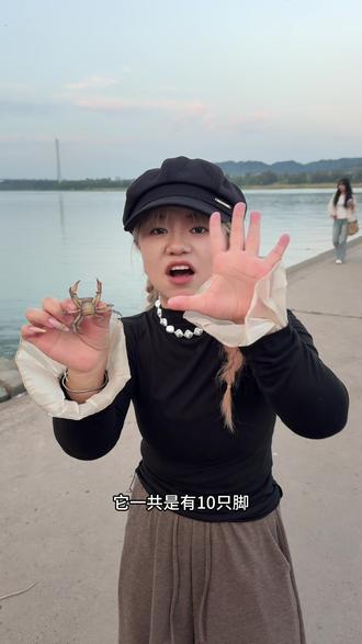 所以一直螃蟹🦀到底几只脚???#热梗 #螃蟹