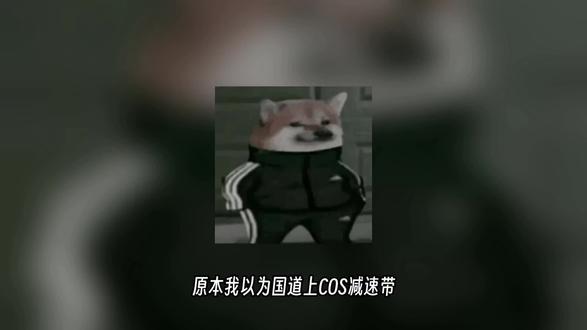 魔童降世!国道COS减速带这一块