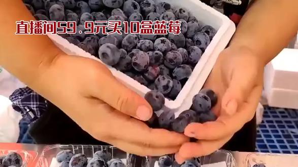 10盒蓝莓只有几颗,消费者权益谁保护?#蓝莓甄选