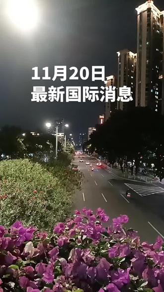 11月20日,最新国际消息
