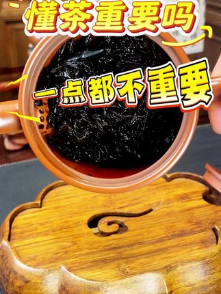懂不懂茶不重要坚持喝茶才重要 #召唤茶友 #今天你喝茶了吗 #茶壶茶具 #坭兴陶