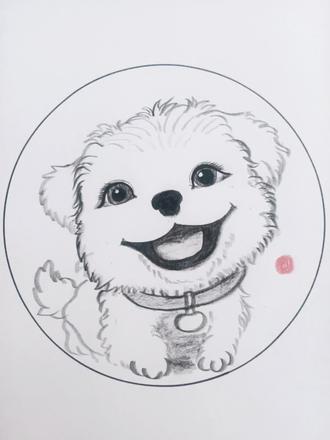 画画邪修教程超简单 #简笔画 #一起学画画 #画画教程 #十二生肖 #儿童画