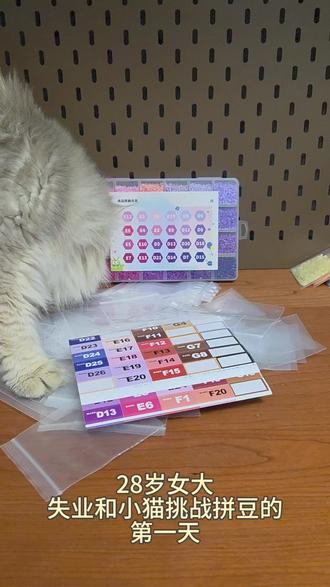 当小猫闯入拼豆界...
#拼豆 #猫 #小猫拼豆 #拼豆豆手工 #拼豆图纸