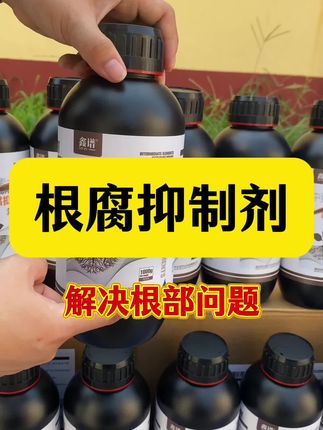 黄叶烂叶喷一次 烂根黑根灌两次#根腐抑制剂 #根腐 #生根壮苗 #农业种植 #农资肥料