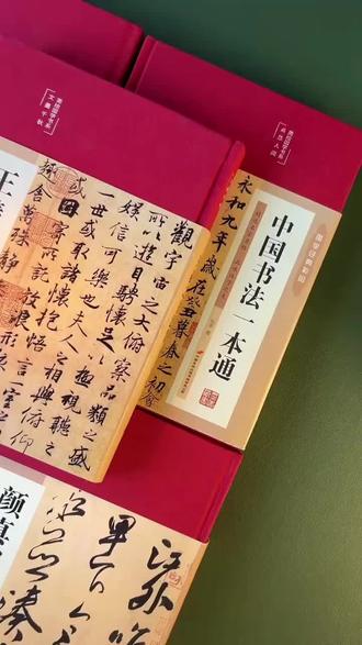 #国学书法教材 #王羲之经典帖 #赵孟頫书法入门 #三希堂法帖解读 #颜真卿练字法 彩绘详解,适合各阶段学习者~