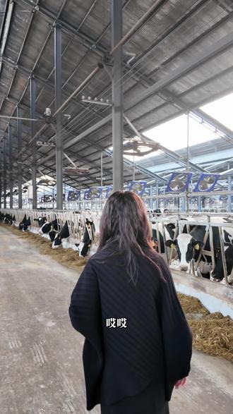 00后会给你不一样的答案#00后养牛人 #养牛日记