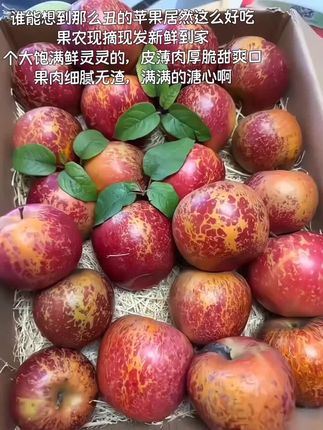 正宗云南昭通新鲜冰糖心#丑苹果原产地现摘脆甜好吃营养多汁肉厚@DOU+小助手 @DOU+好生意