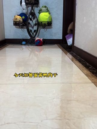 鸭肉加真蛋黄!这得有多好吃啊!看的我都想吃了#宠物零食