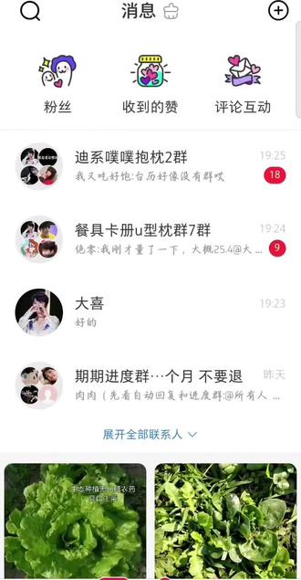 是的没错就是这么迅速#噗噗枕#庄文杰