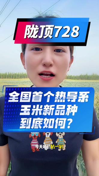 全国热导致扛把子到底如何?点赞关注➕收藏,下期想听哪个视频打在评论区#陇顶728玉米种中国热导系育种的领航者 #三农 #抖音科技助农 #为三农发声 #陇顶728