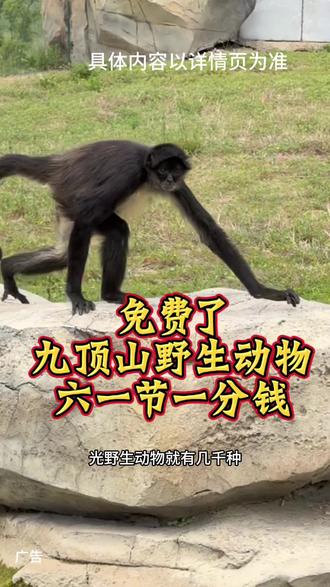 14岁以下的儿童一分钱看好日期,提前囤 #九顶山野生动物园 #九顶山#六一#游玩#动物园