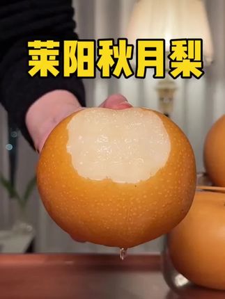 正宗烟台莱阳秋月梨!原产地现摘现发!纯甜爆汁!细腻无渣!