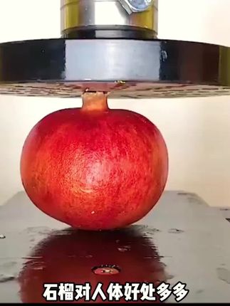 为什么说我国是发达国家粉碎机#石榴汁 #在抖音入手的好东西