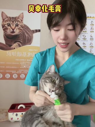 贝幸化毛膏每次3cm 轻松拉出大毛球 呵护肠胃 再也不会为猫咪吐毛球而烦恼了#贝幸化毛膏 #化毛膏 #温和排毛 #呵护肠胃 #排毛