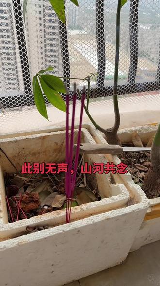 此别无声,山河共念……