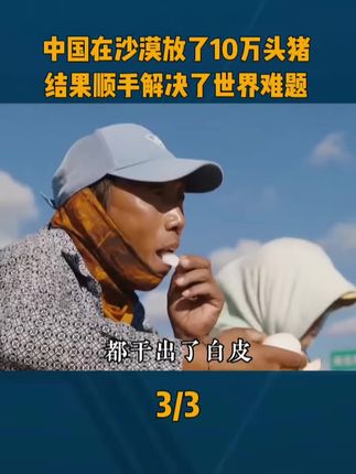 中国在沙漠放了10万头猪,解决了世界难题,全世界都不敢相信!#黑猪 #沙漠 #治沙 #国货