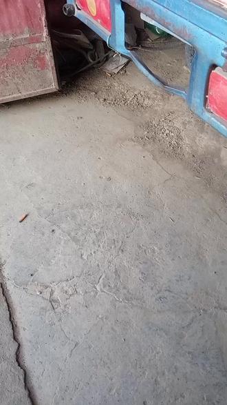 #惊蛰无声李楠敢叛国不敢违章