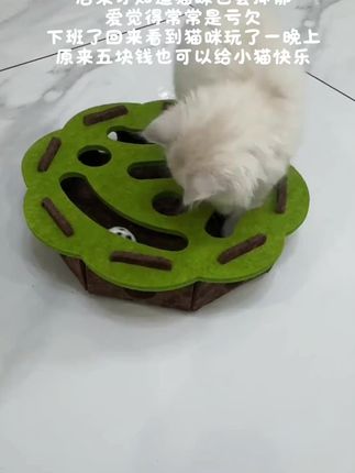 总问我给小猫买那么多玩具有什么用,下班回来看她自己玩就好久,就值了,因为我的小猫超爱它#萌宠出道计划#养猫人 #小奶猫#毛孩子的日常#猫咪玩具