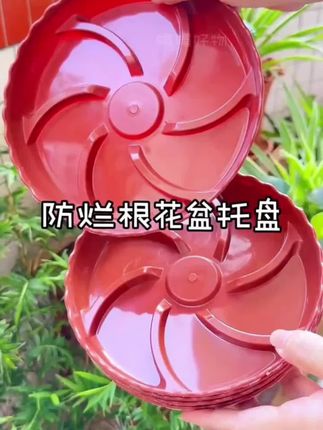 #花盆托盘推荐 #花盆底座 #花卉绿植 #花盆托盘 #园艺生活