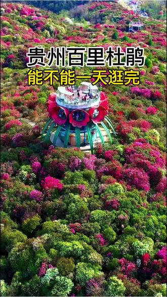 贵州百里杜鹃,一天能不能逛完两大核心景区, 一条视频说清楚
#热门 #贵州旅游#百里杜鹃 #旅游攻略#避坑指南