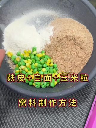 #好物推荐 #超便宜超划算 #钓鱼装备 #钓鱼 #便宜好物