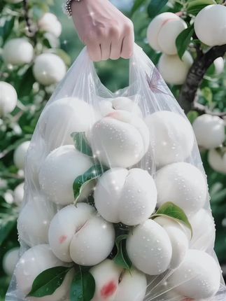 哇塞🫢!老公随便买的奶油大白桃,我一到家就忍不住吃了好几个😁,没想到居然这么好吃,你们吃过吗? 这个桃子堪称桃中“白雪公主”,刚拿到手,我就立马开箱,瞬间被它惊艳到了,浓郁的桃香扑鼻而来。这白桃的颜值超高,我简直爱死了!它果香四溢,果皮很薄,果肉很脆,吃起来脆甜脆甜的,非常爽口,而且汁水很多。随手拿起一个咬一口,雪白雪白的果肉,加上香甜的味道,又脆又甜,口感绝佳,我一下子就吃了好几个。这不就是脆桃爱好者的最爱嘛!而且这些桃子都是现摘现发的,喜欢吃脆桃的朋友,一定要尝尝! #大人小孩都爱吃 #脆甜多汁 #桃子熟了 #白桃 #图文掘金计划