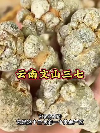云南文山三七粉#正品三七粉