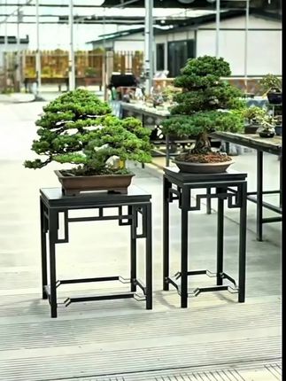 莫兰星铝合金花架几架单层案台盆景展示架工具园艺户外可定制花架#花架 #盆景架 #铝合金花架 #高档盆景架 #鱼缸架
