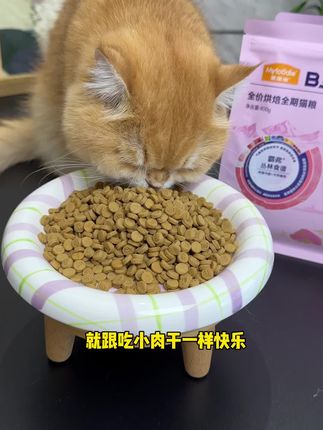 霸弗烘焙粮羊毛,薅到就是赚!#霸弗烘焙猫粮#养猫新手 #科学养宠攻略 #猫粮#麦富迪