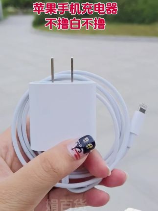 #数据线 #数据线怎么选 #苹果充电器 #充电器 #充电器的日常