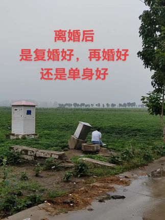 离婚后是,复婚好,再婚好,还是单身好?