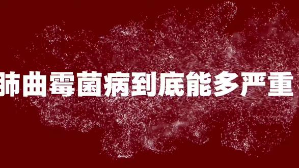 您能想到感染了肺曲霉菌病,能有多严重吗#肺曲霉菌 #肺真菌感染 #咯血 #肺空洞 #科普健康知识