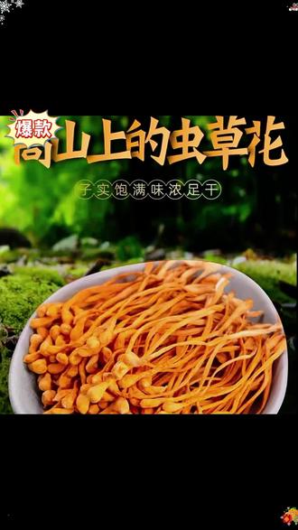无染色无硫熏,高山菇农种植的虫草花,产地直供!!!#虫草花 #好物推荐🔥 #好食材好味道 #煲汤食材 #好食材